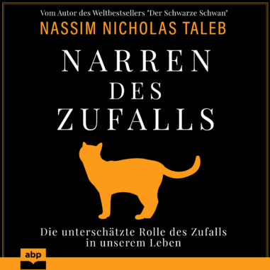 Cover des Hörbuchs "Narren des Zufalls"